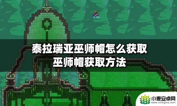 泰拉瑞亚巫师帽有什么用 泰拉瑞亚巫师帽获取方法大全