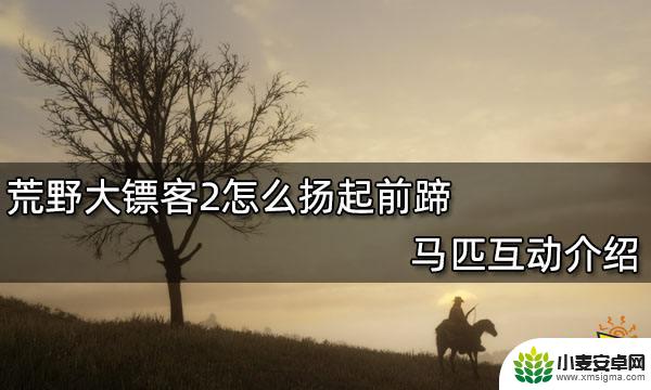 荒野大镖客2马前蹄上扬 荒野大镖客2马匹如何互动介绍