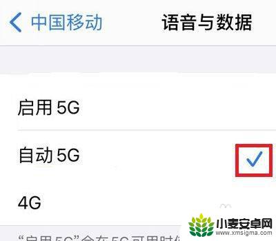 苹果11手机4g变5g怎么设置 苹果手机5G网络设置教程