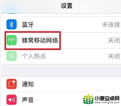 苹果11手机4g变5g怎么设置 苹果手机5G网络设置教程