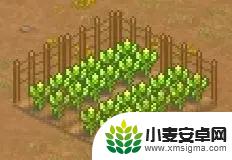 王都创世录怎么玩 王都创世录攻略