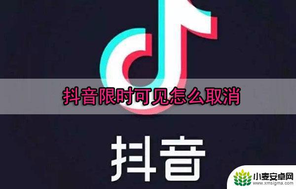 限时可见抖音什么(限时可见抖音什么意思)