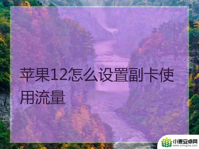 苹果手机怎么用副卡流量 iPhone12双卡双待如何使用副卡流量