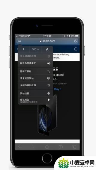 苹果手机怎样使用浏览器翻译功能 Safari翻译功能设置方法