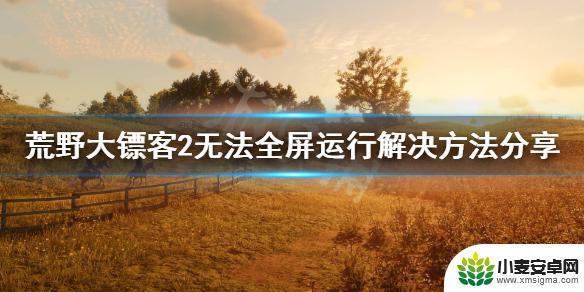 荒野大镖客2玩着花屏怎么办 《荒野大镖客2》无法全屏运行解决方法