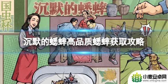 沉默的蟋蟀蟋蟀等级 《沉默的蟋蟀》高品质蟋蟀如何获得