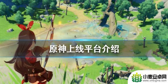 原神有哪些平台 《原神》游戏上线平台介绍