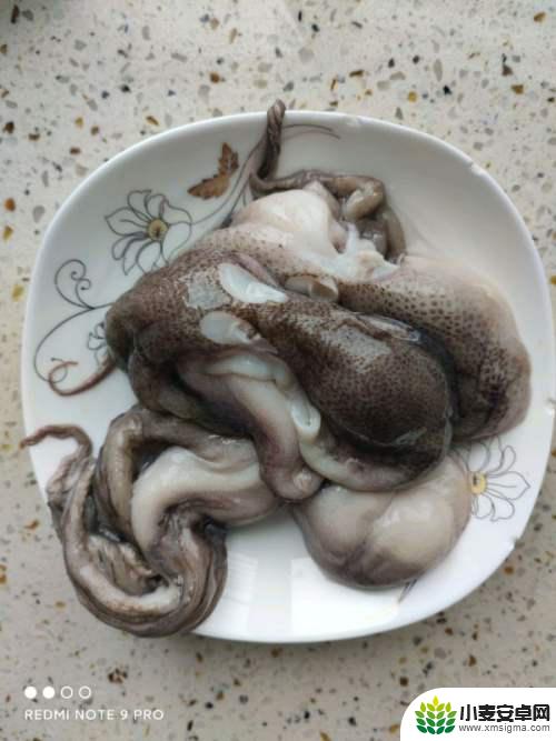 割草八臂魔鱼如何炖汤 海浮鱼炖八爪鱼的健康功效