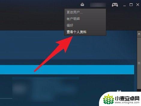 steam怎么查17位 查看Steam账号的17位数字id的步骤