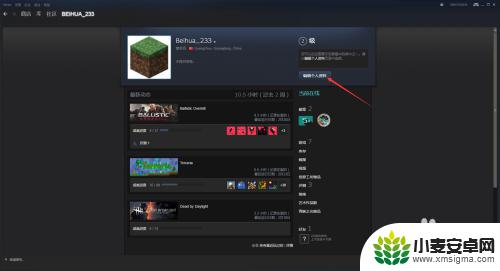 steam怎么填 Steam个人资料展示怎么设置