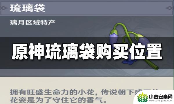 原神哪卖琉璃袋 如何在原神中购买琉璃袋