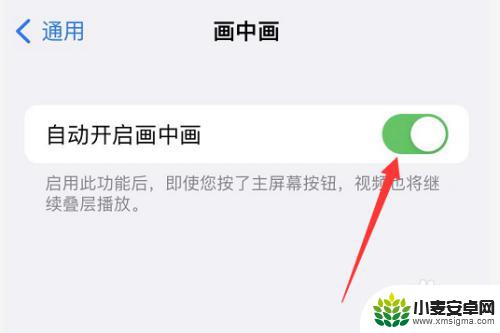 苹果手机怎么设置视频闭嘴 iPhone如何开启视频悬浮窗功能