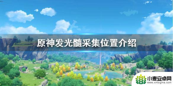 原神萤火属性在哪里获得 《原神》萤火虫发光髓怎么采集