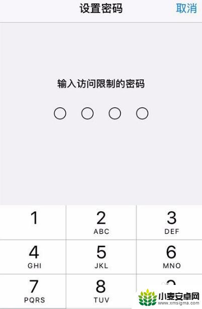 苹果手机微信零钱怎么设置密码进入 苹果手机微信进入密码设置教程