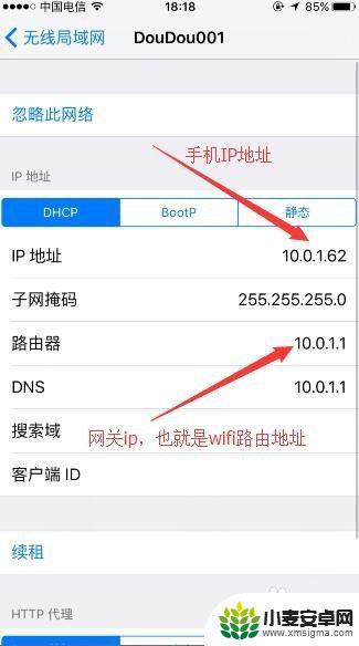 苹果手机如何看ip iPhone如何查看手机IP地址设置