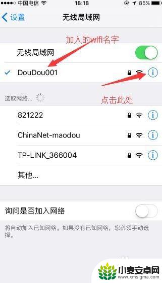 苹果手机如何看ip iPhone如何查看手机IP地址设置