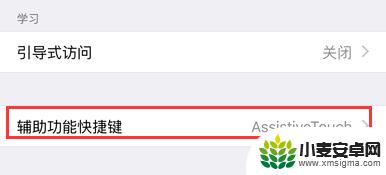 苹果手机触控小圆点总是消失 iOS 9小圆点隐藏教程