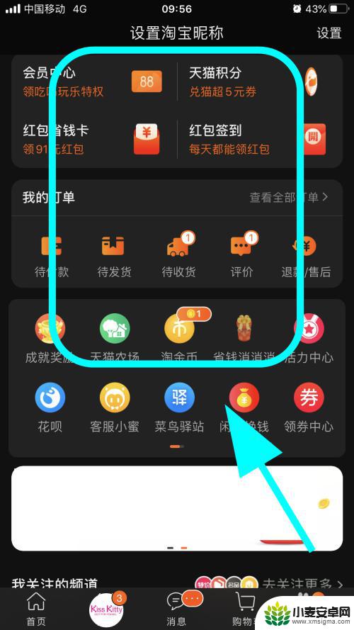 手机淘宝黑白页怎么设置 淘宝APP黑色背景怎么设置