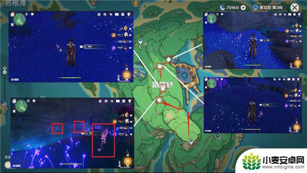 《原神》鸣草采集路线详解 原神鸣草采集路线分享