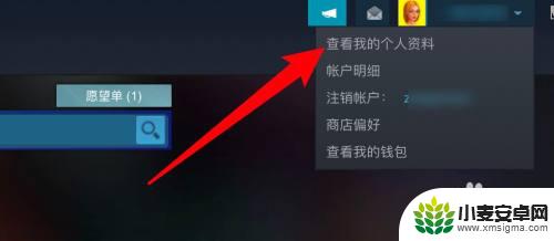 怎么禁用游戏内访问steam Steam如何隐藏游戏不让好友看到