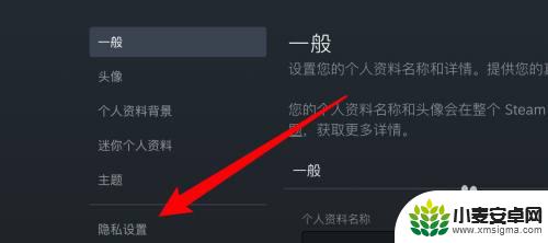 怎么禁用游戏内访问steam Steam如何隐藏游戏不让好友看到