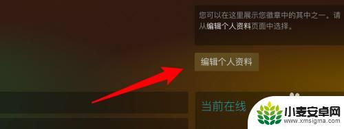 怎么禁用游戏内访问steam Steam如何隐藏游戏不让好友看到