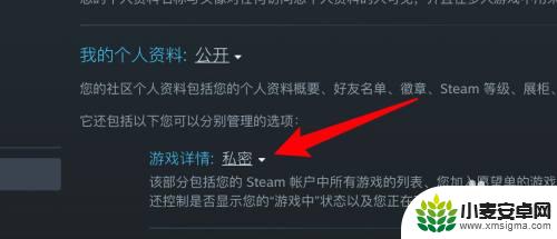 怎么禁用游戏内访问steam Steam如何隐藏游戏不让好友看到