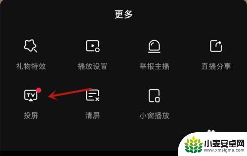 小红书直播怎么播自己手机屏幕 如何在电视上投屏小红书直播