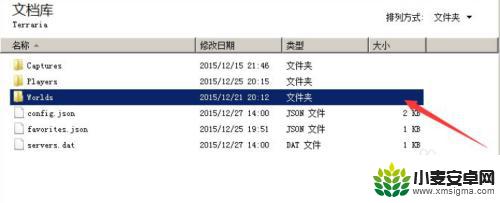 泰拉瑞亚附加存档 泰拉瑞亚1.4全物品存档导入方法