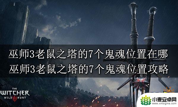 巫师3老鼠之塔鬼魂位置 巫师3老鼠之塔的7个鬼魂位置图解