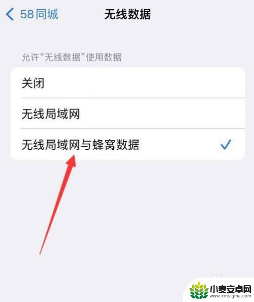 苹果手机需要互联网连接验证app怎么办 为什么苹果手机无法验证App需要互联网连接