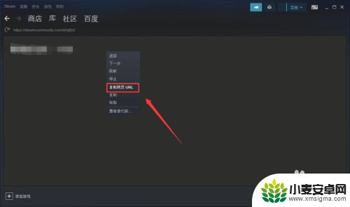 steam个人链接地址 如何查看自己的SteamID/Steam个人页面链接