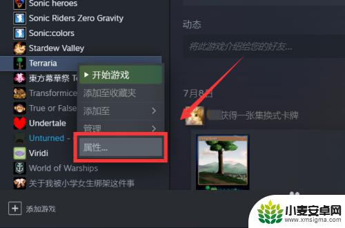 win11怎么不能启动泰拉瑞亚 steam泰拉瑞亚启动无响应