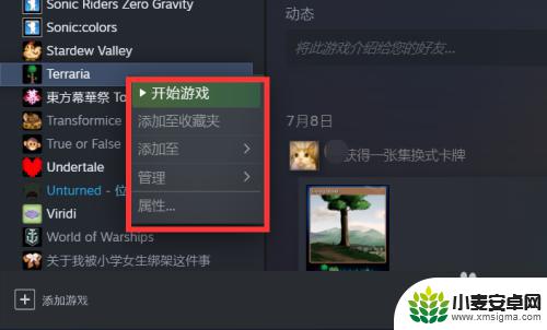 win11怎么不能启动泰拉瑞亚 steam泰拉瑞亚启动无响应