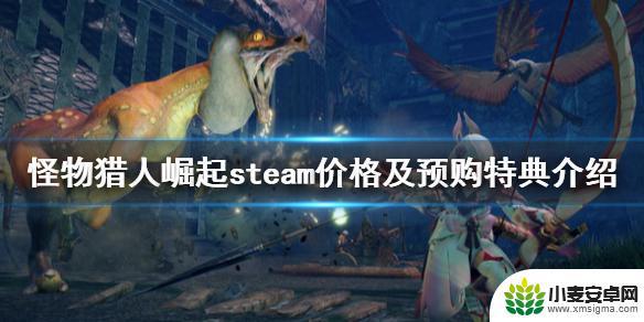 国家崛起steam叫什么 《怪物猎人崛起》steam预购特典内容