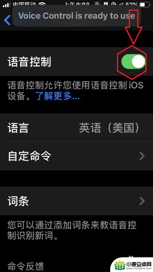 苹果手机语音王怎么开启 苹果手机IOS13语音控制如何开启