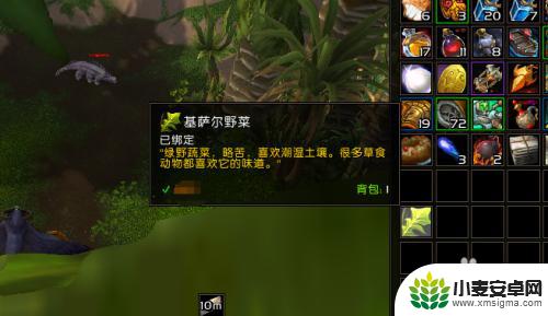 魔兽世界基萨尔怎么打 春裘羊驼魔兽世界基萨尔野菜获取途径