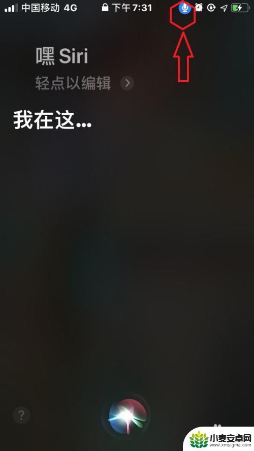 苹果手机语音王怎么开启 苹果手机IOS13语音控制如何开启