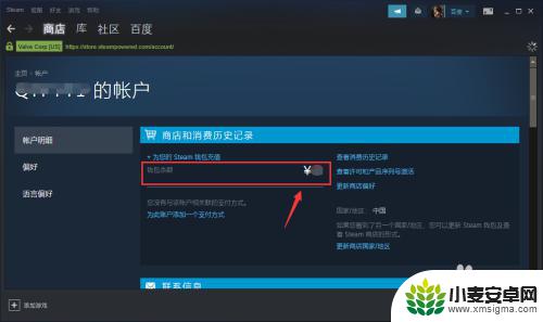 steam的余额 steam怎么查看我的充值余额