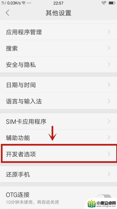 开发者选项在哪里打开oppo oppo手机怎么查看开发者选项