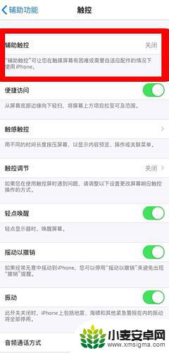 苹果手机11点点怎么设置 iPhone11小圆点设置教程