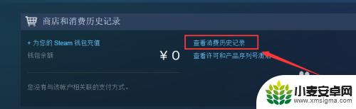 想玩steam但是没钱 Steam平台充值钱包未到账怎么办