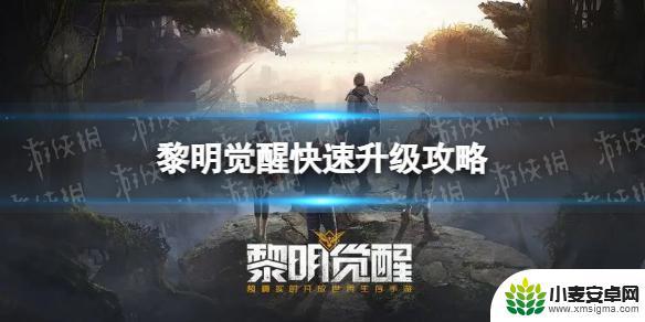 黎明觉醒角色等级怎么提升 《黎明觉醒》快速升级攻略