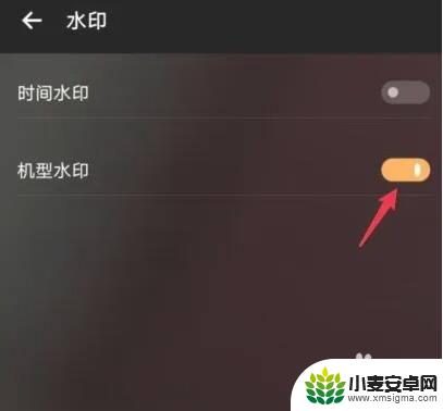 拍照显示手机型号怎么取消 怎样在vivo手机上去掉拍照水印