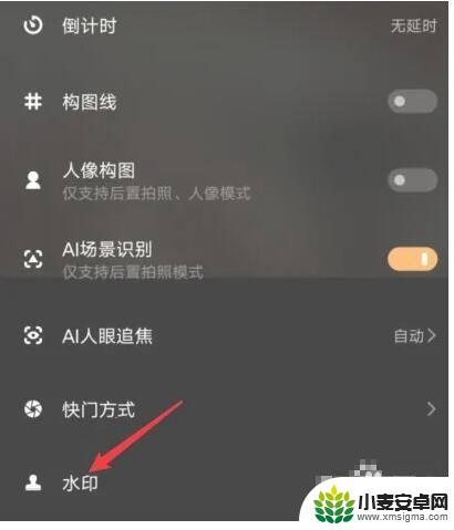 拍照显示手机型号怎么取消 怎样在vivo手机上去掉拍照水印