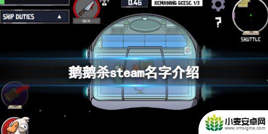 steam鹅鸭 《鹅鸭杀》steam名字有什么特别之处