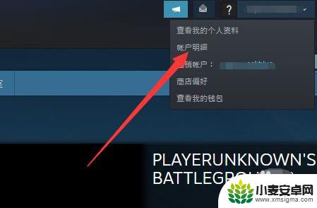 wallpaper steam不可用 steam壁纸显示不可用怎么办