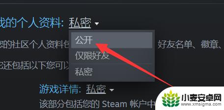 steam公开质料 steam资料公开设置怎么改