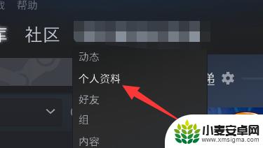 steam公开质料 steam资料公开设置怎么改