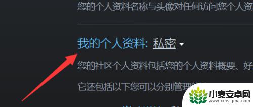 steam公开质料 steam资料公开设置怎么改